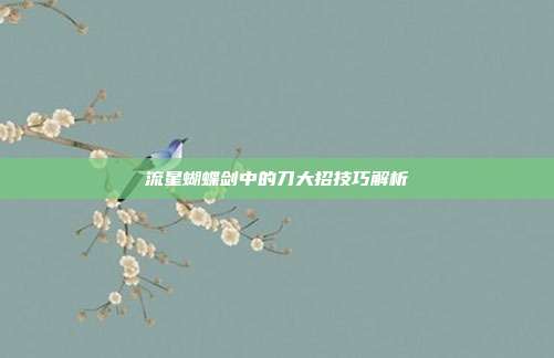 流星蝴蝶剑中的刀大招技巧解析
