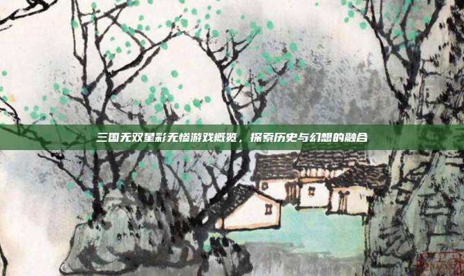 三国无双星彩无惨游戏概览,探索历史与幻想的融合