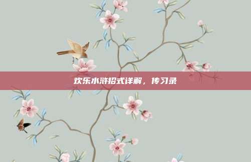 欢乐水浒招式详解,传习录