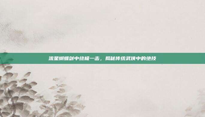 流星蝴蝶剑中终极一击,揭秘传统武侠中的绝技