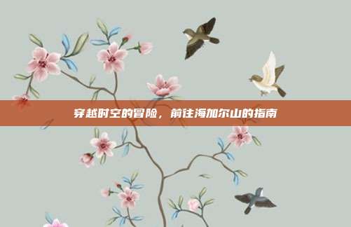 穿越时空的冒险,前往海加尔山的指南
