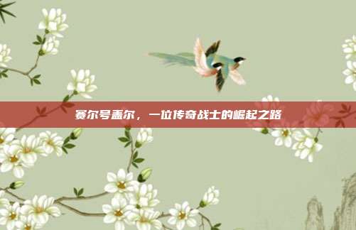 赛尔号盖尔,一位传奇战士的崛起之路