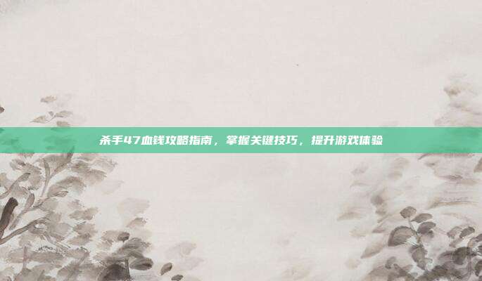 杀手47血钱攻略指南,掌握关键技巧,提升游戏体验
