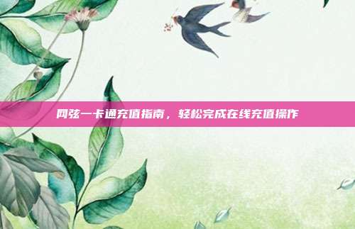 网弦一卡通充值指南,轻松完成在线充值操作