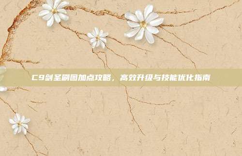 C9剑圣刷图加点攻略,高效升级与技能优化指南