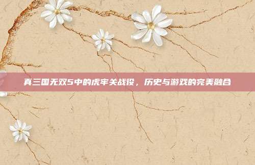 真三国无双5中的虎牢关战役,历史与游戏的完美融合