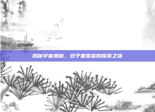 揭秘宇宙奥秘,双子星图鉴的探索之旅