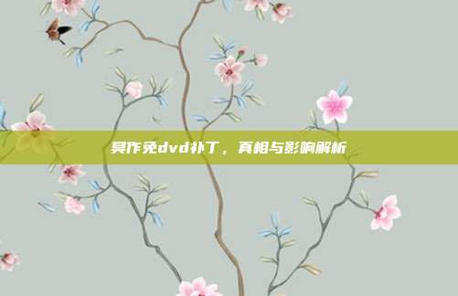 臭作免dvd补丁,真相与影响解析