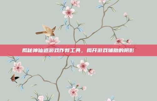 揭秘神仙道游戏作弊工具,揭开游戏辅助的阴影