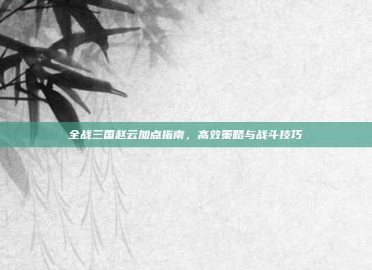 全战三国赵云加点指南,高效策略与战斗技巧