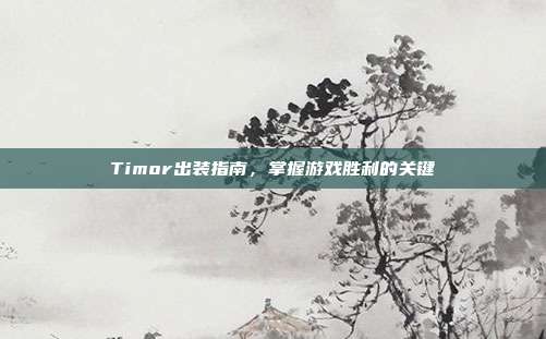 Timor出装指南,掌握游戏胜利的关键