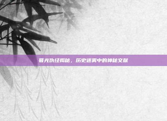 暮光伪经揭秘,历史迷雾中的神秘文献