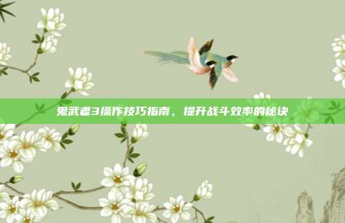 鬼武者3操作技巧指南,提升战斗效率的秘诀