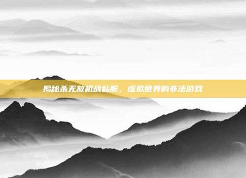 揭秘杀无赦机战私服,虚拟世界的非法游戏