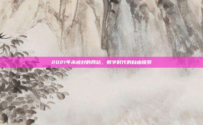 2021年未被封的网站,数字时代的自由探索