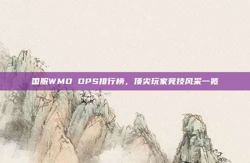 国服WMO DPS排行榜,顶尖玩家竞技风采一览