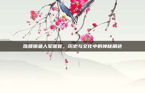 珠鳍锦鱼人军需官,历史与文化中的神秘角色
