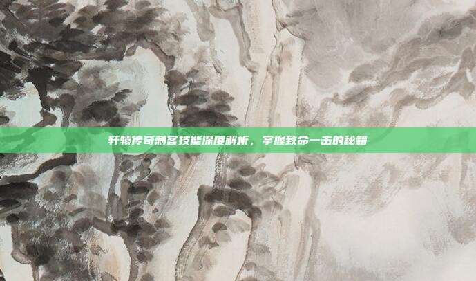轩辕传奇刺客技能深度解析,掌握致命一击的秘籍