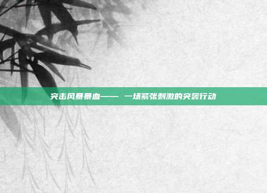 突击风暴暴血—— 一场紧张刺激的突袭行动