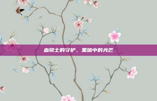血骑士的守护,黑暗中的光芒