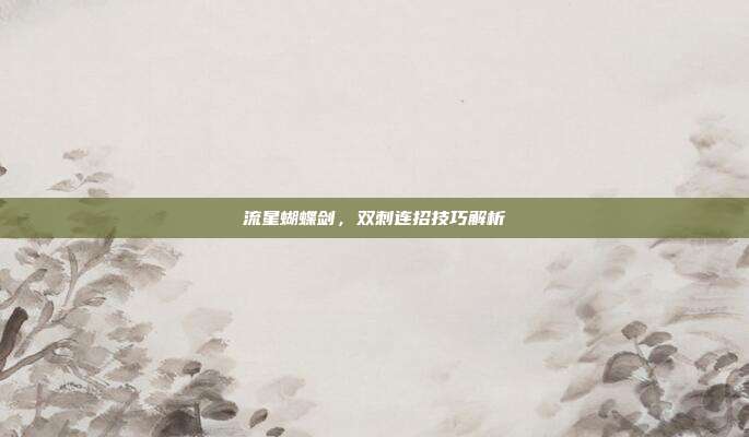 流星蝴蝶剑,双刺连招技巧解析