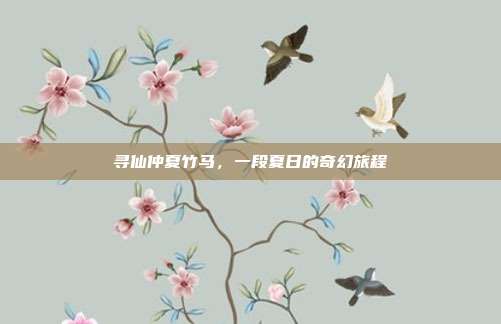 寻仙仲夏竹马,一段夏日的奇幻旅程