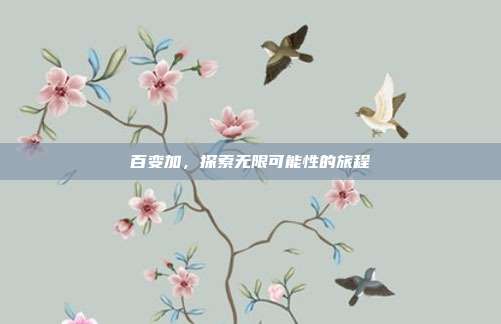 百变加,探索无限可能性的旅程