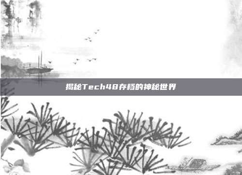 揭秘Tech48存档的神秘世界