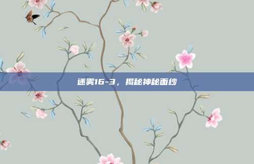 迷雾16-3,揭秘神秘面纱
