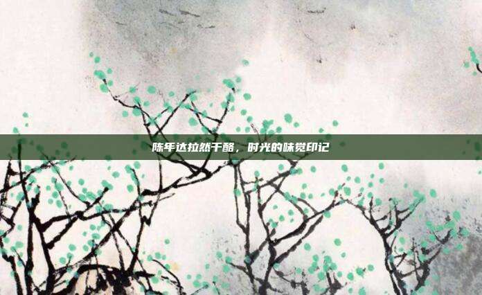 陈年达拉然干酪,时光的味觉印记