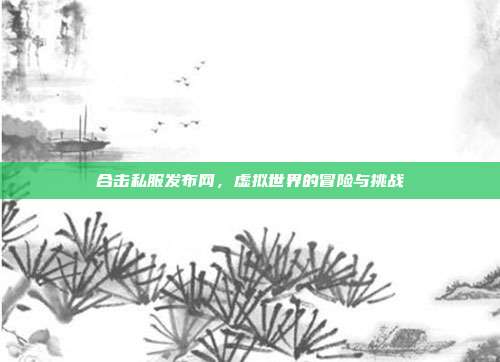 合击私服发布网,虚拟世界的冒险与挑战