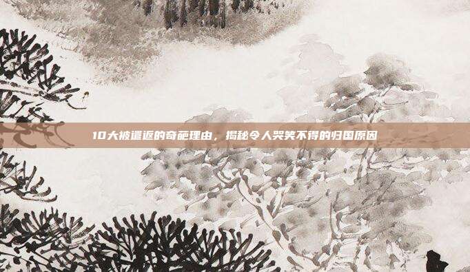 10大被遣返的奇葩理由,揭秘令人哭笑不得的归国原因