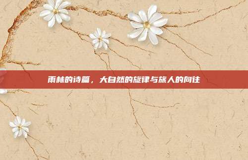雨林的诗篇,大自然的旋律与旅人的向往
