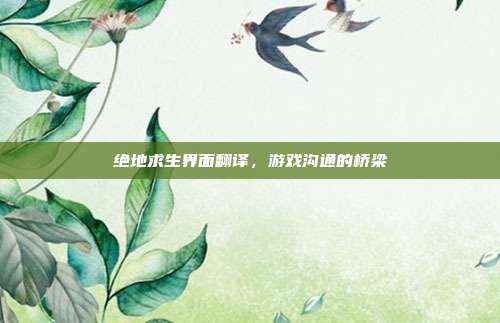 绝地求生界面翻译,游戏沟通的桥梁
