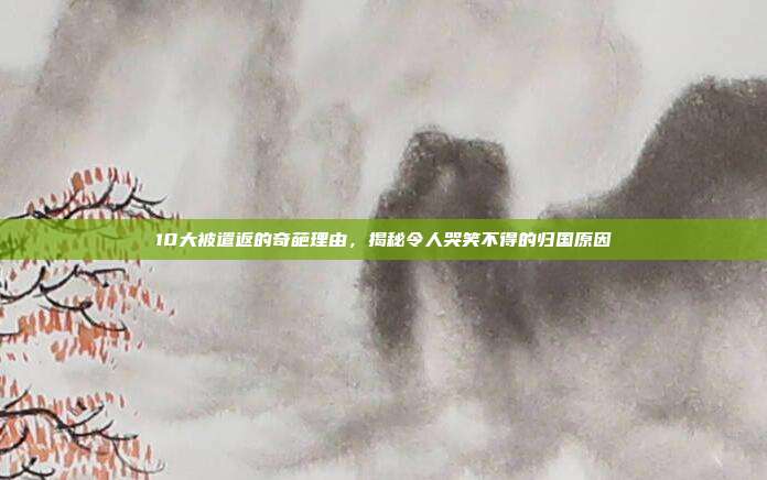 10大被遣返的奇葩理由,揭秘令人哭笑不得的归国原因