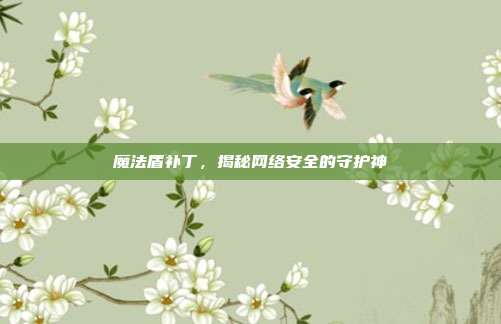 魔法盾补丁,揭秘网络安全的守护神
