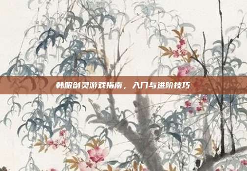 韩服剑灵游戏指南,入门与进阶技巧