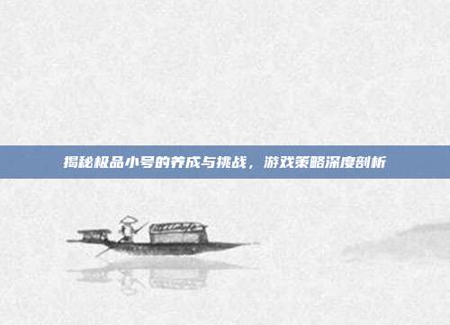 揭秘极品小号的养成与挑战,游戏策略深度剖析