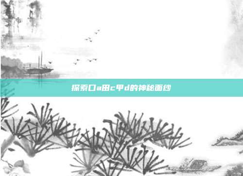 探索口a田c甲d的神秘面纱