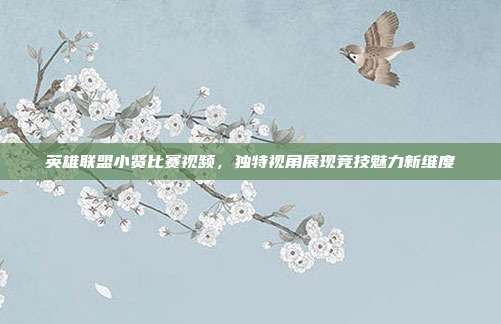 英雄联盟小贤比赛视频,独特视角展现竞技魅力新维度