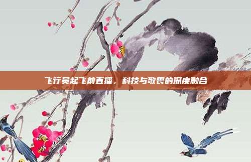 飞行员起飞前直播,科技与敬畏的深度融合