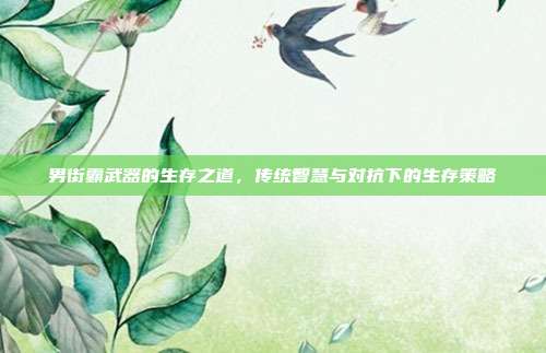 男街霸武器的生存之道,传统智慧与对抗下的生存策略