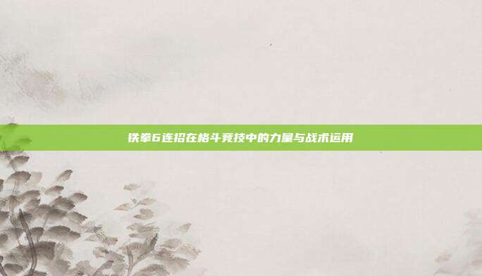 铁拳6连招在格斗竞技中的力量与战术运用