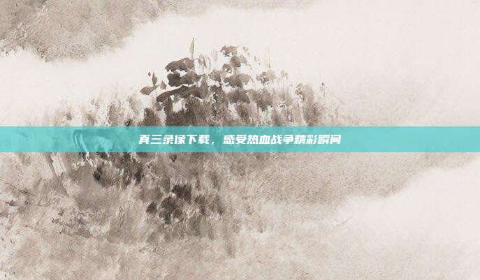 真三录像下载,感受热血战争精彩瞬间
