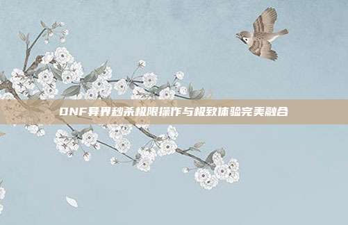DNF异界秒杀极限操作与极致体验完美融合