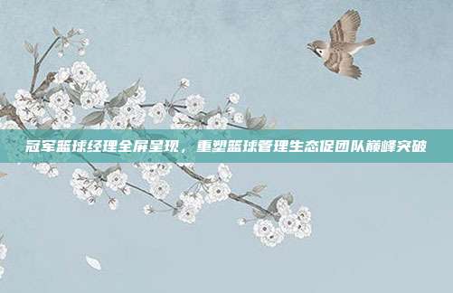 冠军篮球经理全屏呈现,重塑篮球管理生态促团队巅峰突破