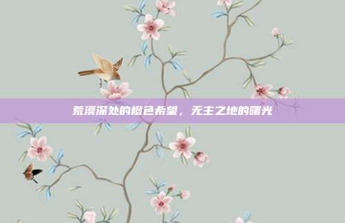 荒漠深处的橙色希望,无主之地的曙光