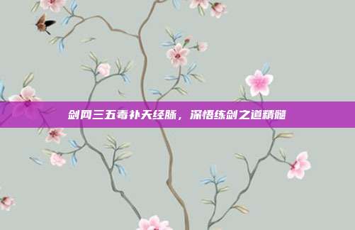 剑网三五毒补天经脉,深悟练剑之道精髓