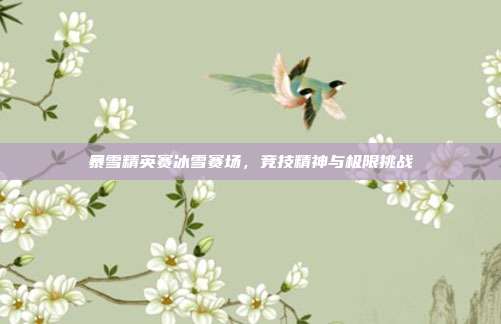 暴雪精英赛冰雪赛场,竞技精神与极限挑战