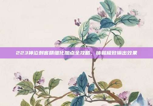 223神泣刺客精细化加点全攻略,铸就极致输出效果